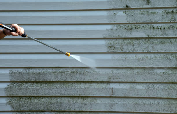 Best Affordable Pressure Washing  in Harvey, ND