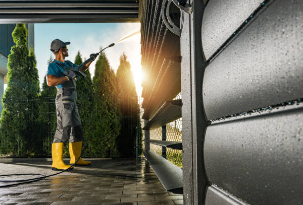 Best Power Washing Near Me  in Harvey, ND