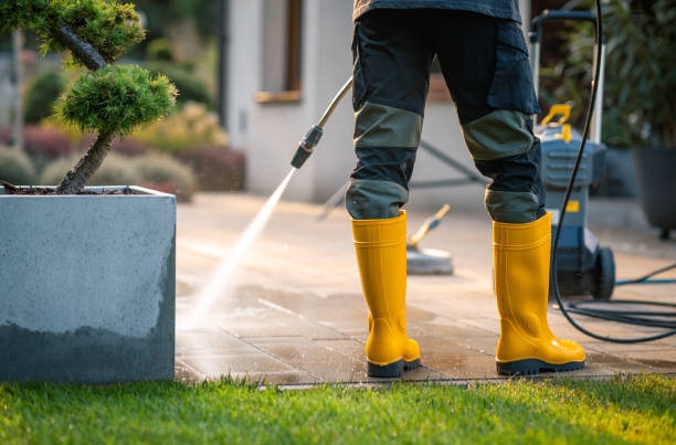 Best Pressure Washing Services for Businesses  in Harvey, ND